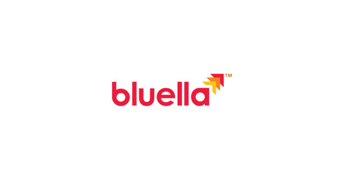 Bluella - Cloud DNS, Web Services & Hosting Company