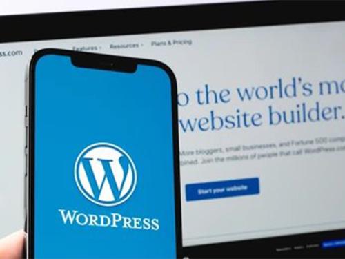 Gootloader's Favorite Target: Why WordPress Sites Are On Its Radar & How To Secure Yours